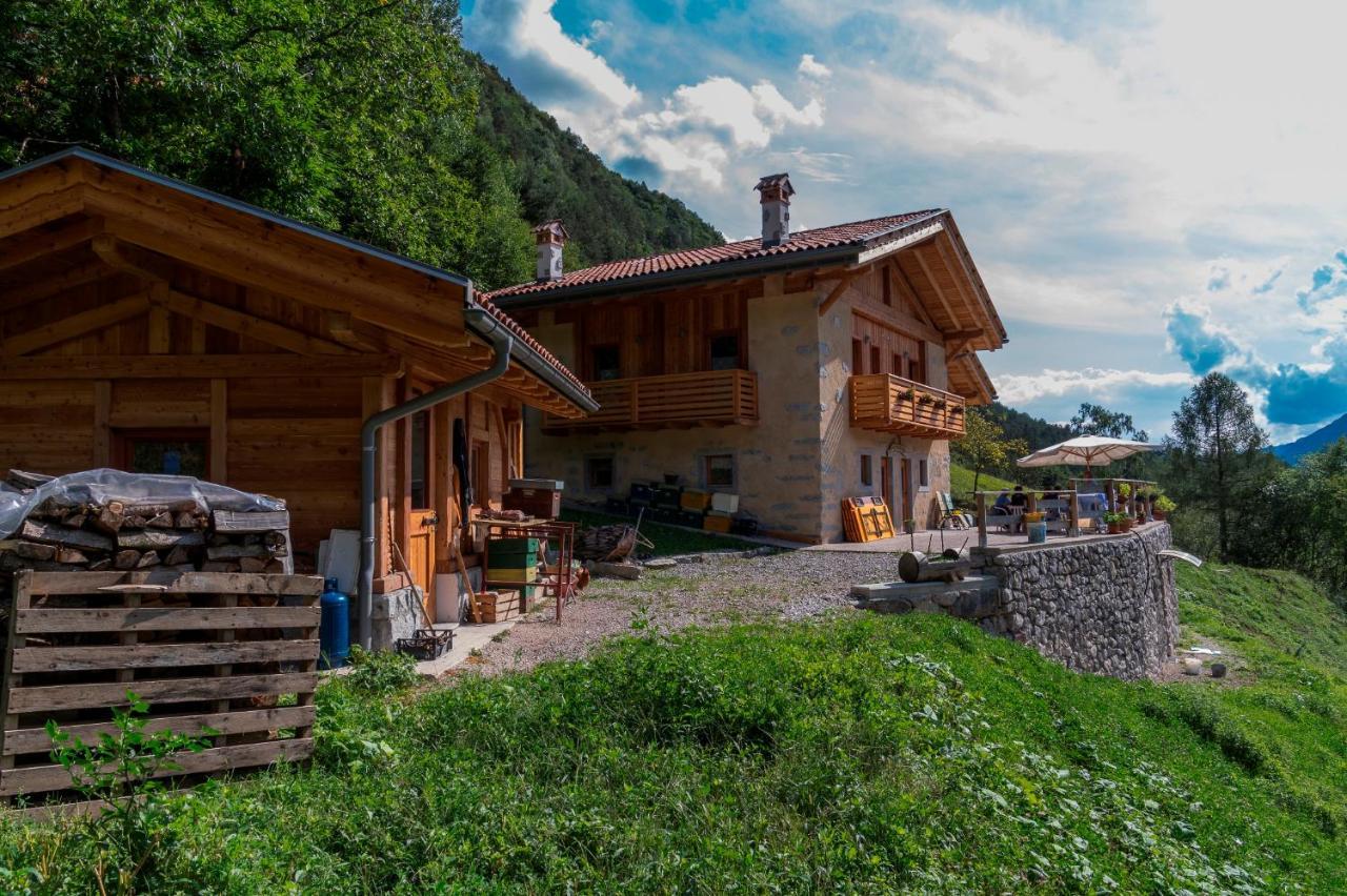 Agriturismo La Meta Pieve di Bono Luaran gambar