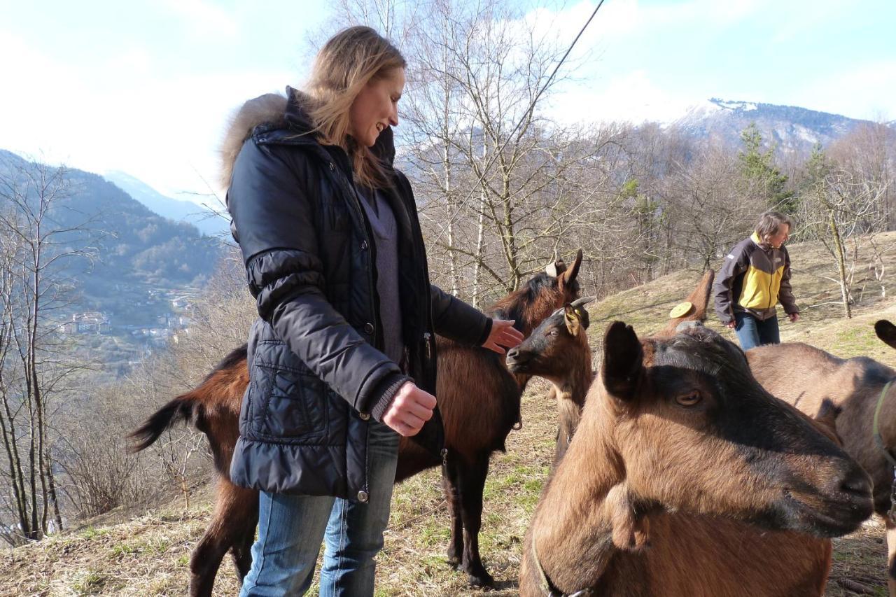 Agriturismo La Meta Pieve di Bono Luaran gambar